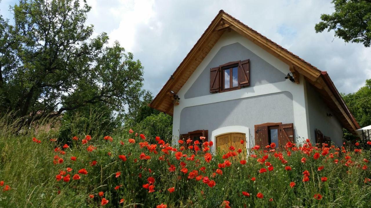 Villa Vita Balatonfüred Kültér fotó